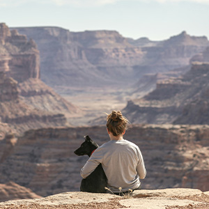 tips for traveling with your pet